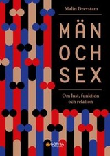 Män och sex : Om lust, funktion och relation