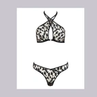 Set metallic Fusion  - Boîte à Désir