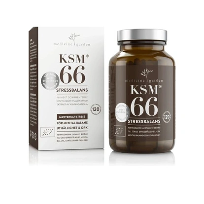 KSM 66