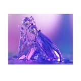Cecii glas