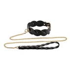 Lunar halsband och koppel